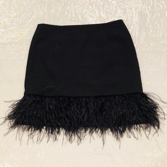 Boston Proper Dresses & Skirts - Stunning Feather Skirt***US 6